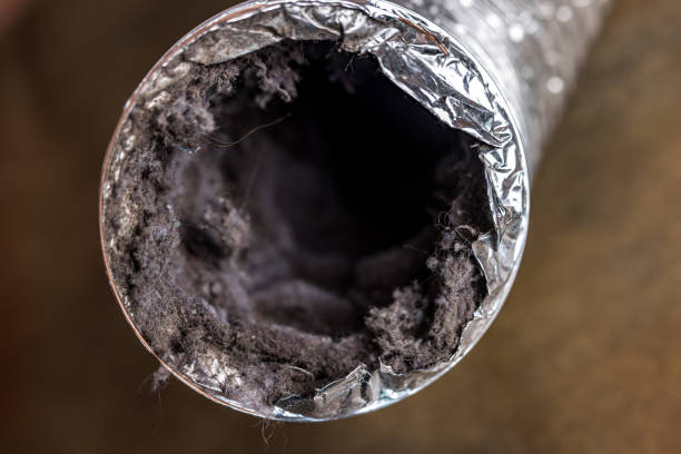 Best Air Duct Cleaning Near Me  in Chattanoo Valley, GA